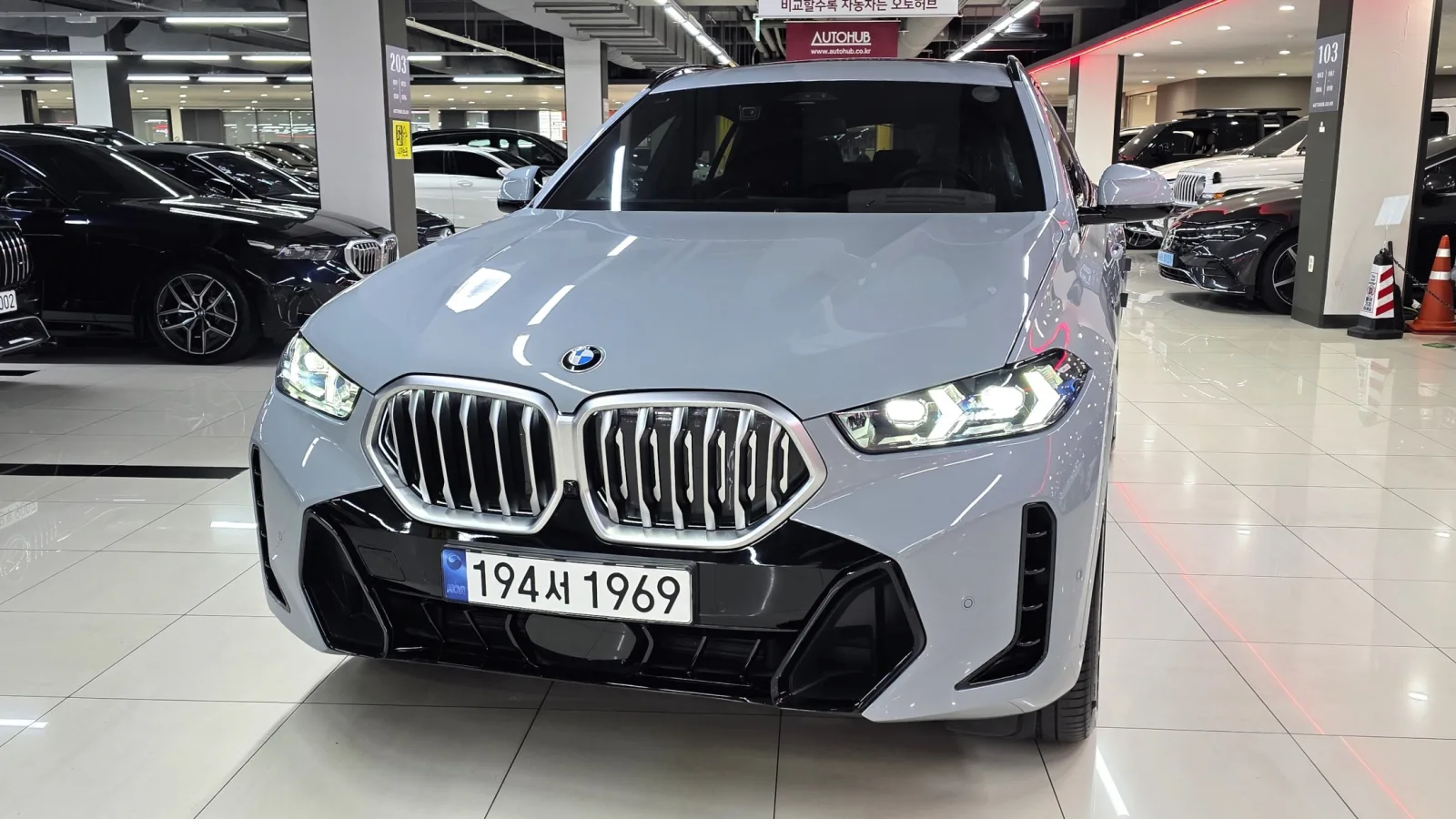 2024 BMW X6