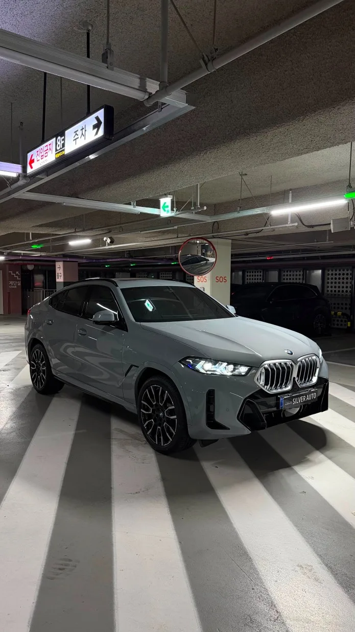 2026 BMW X6