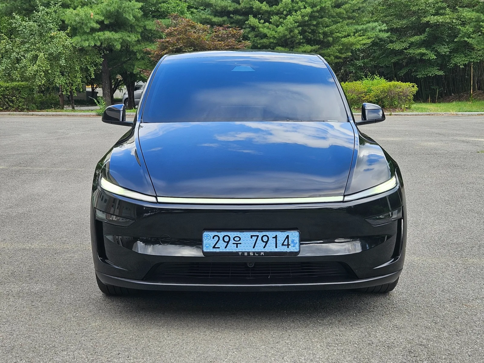 2025 Tesla Model Y
