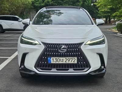 2024 Lexus NX