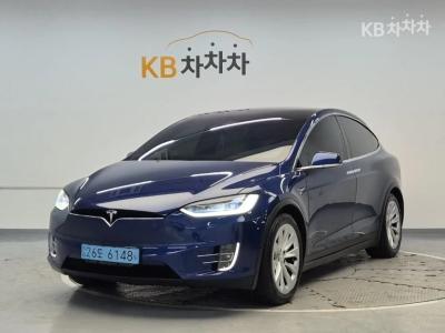 Tesla Model X 100D (2019년형)