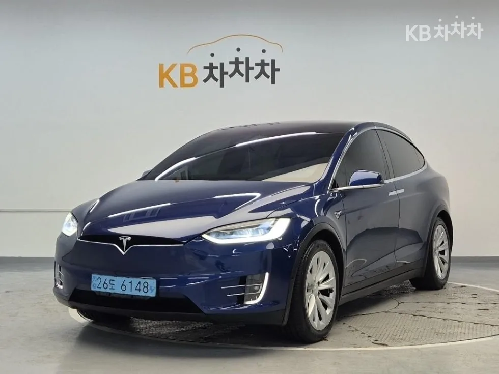 Tesla Model X 100D (2019년형)