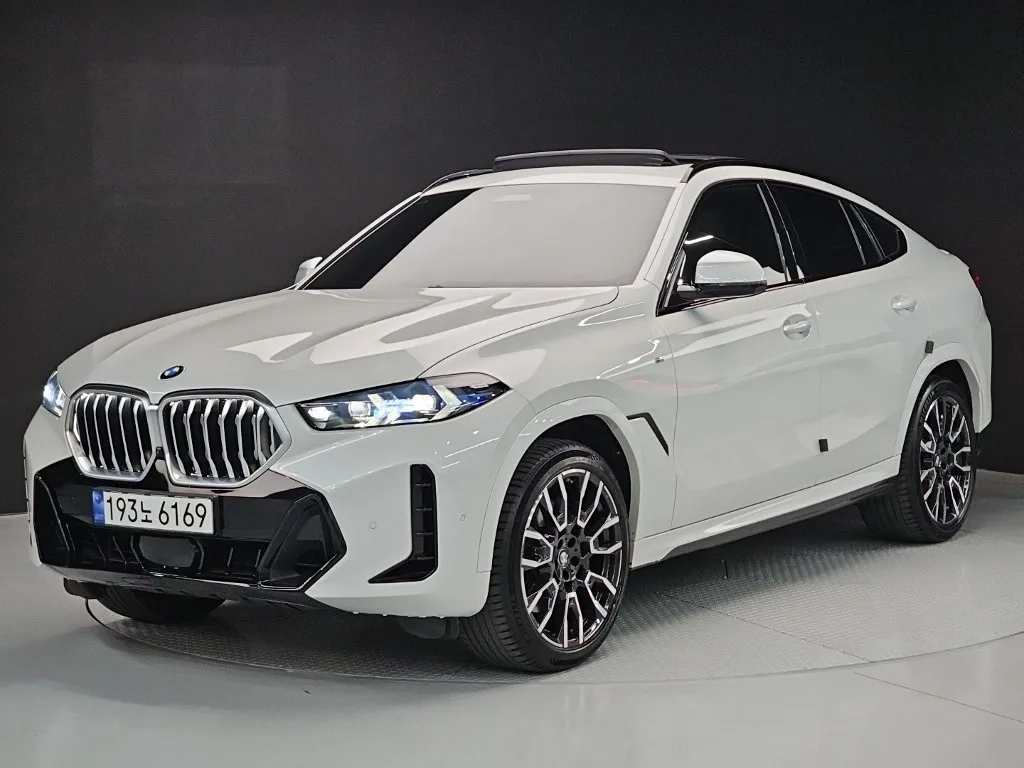 2024 BMW X6