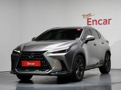 2023 Lexus NX