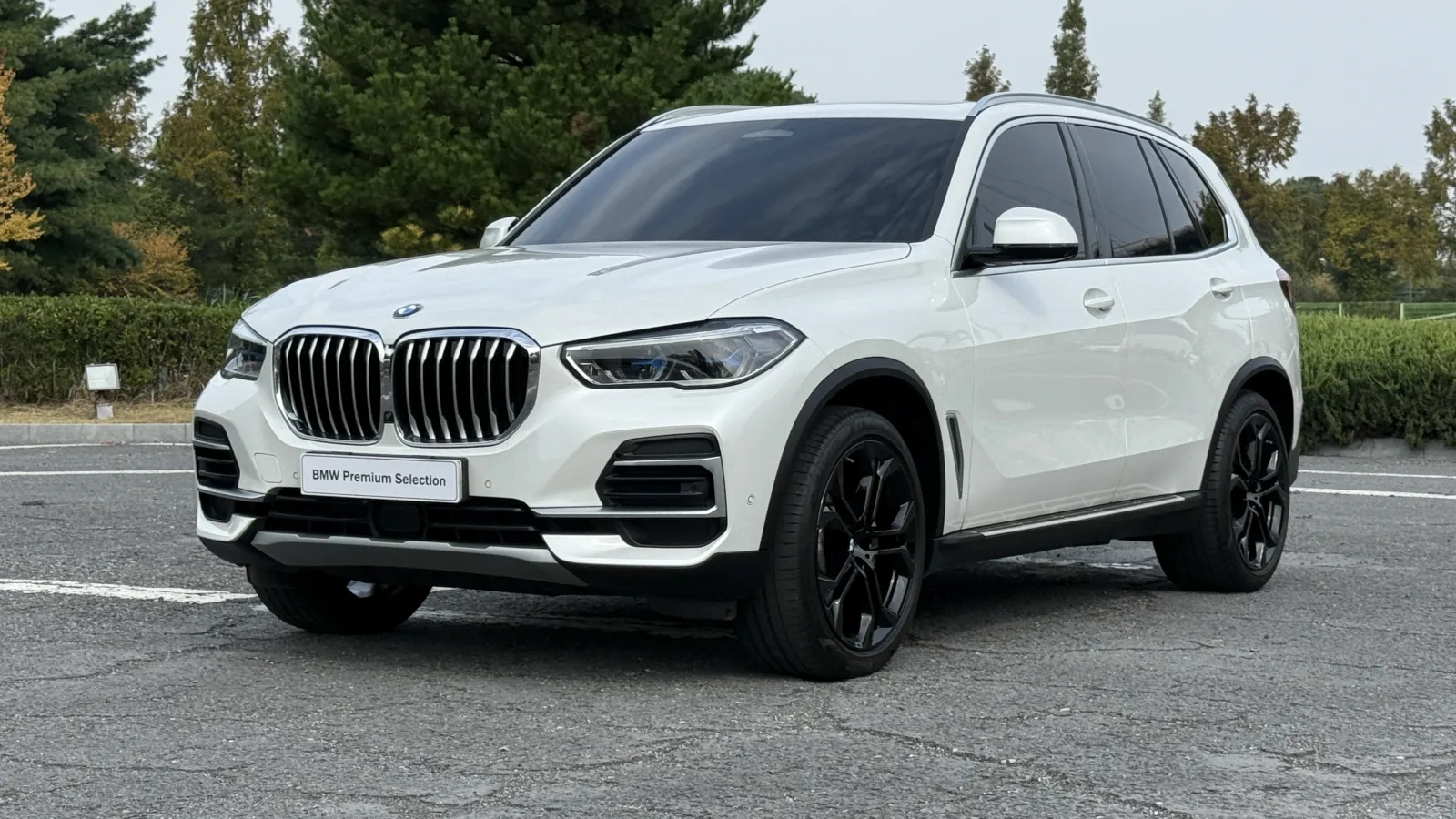 2023 BMW X5