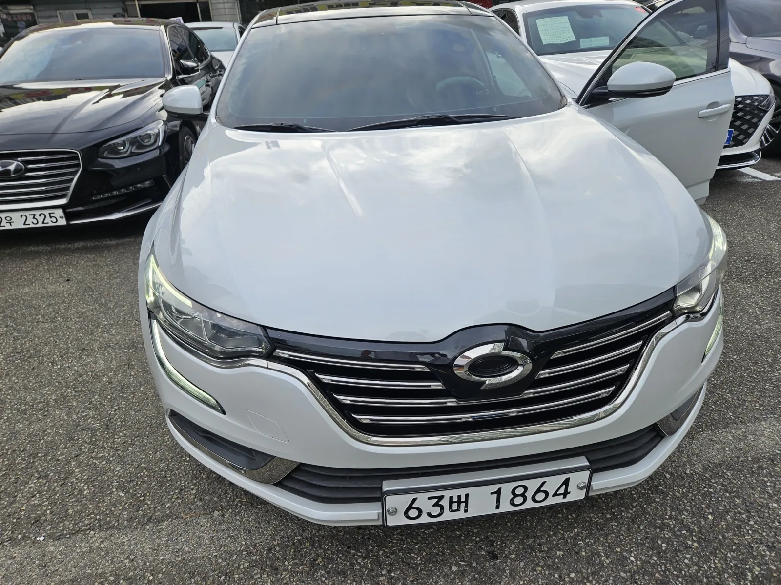 2019 Renault Korea SM6