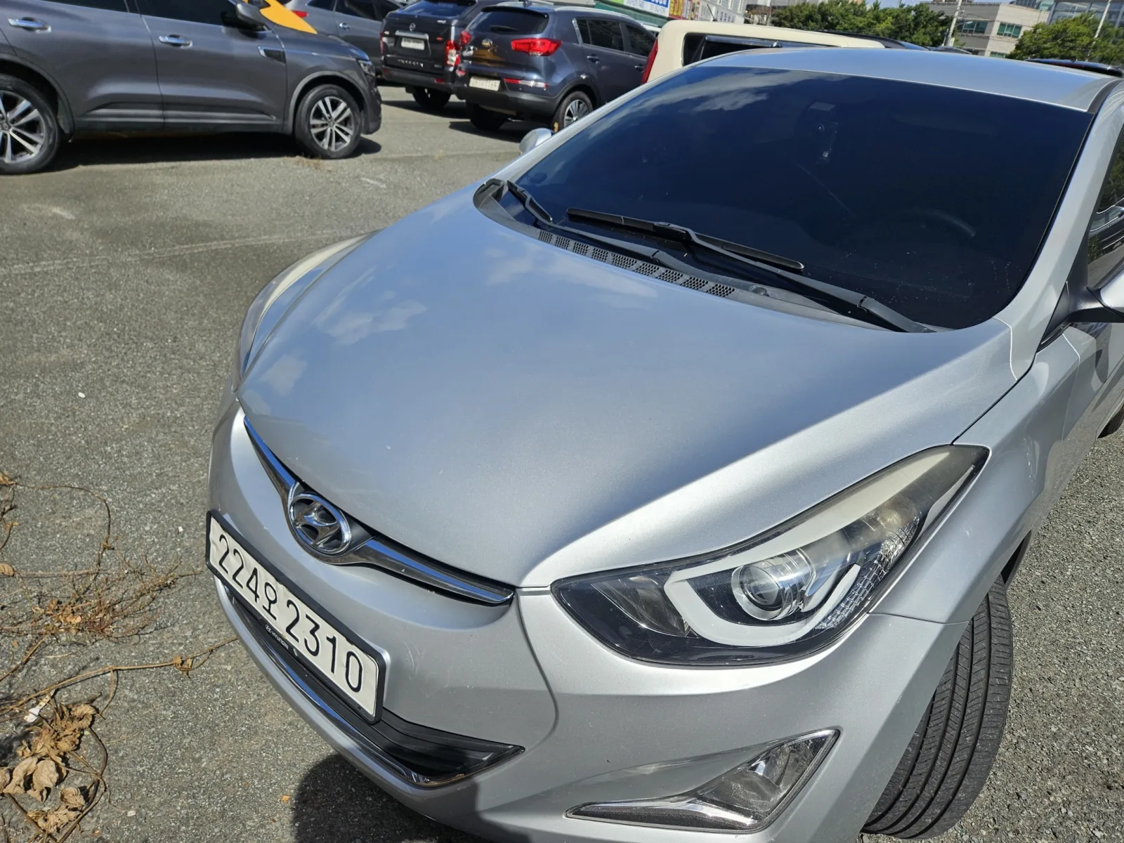 2014 Hyundai Elantra