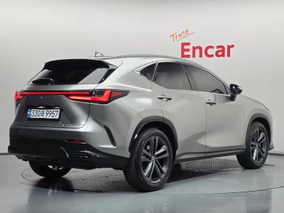 2024 Lexus NX
