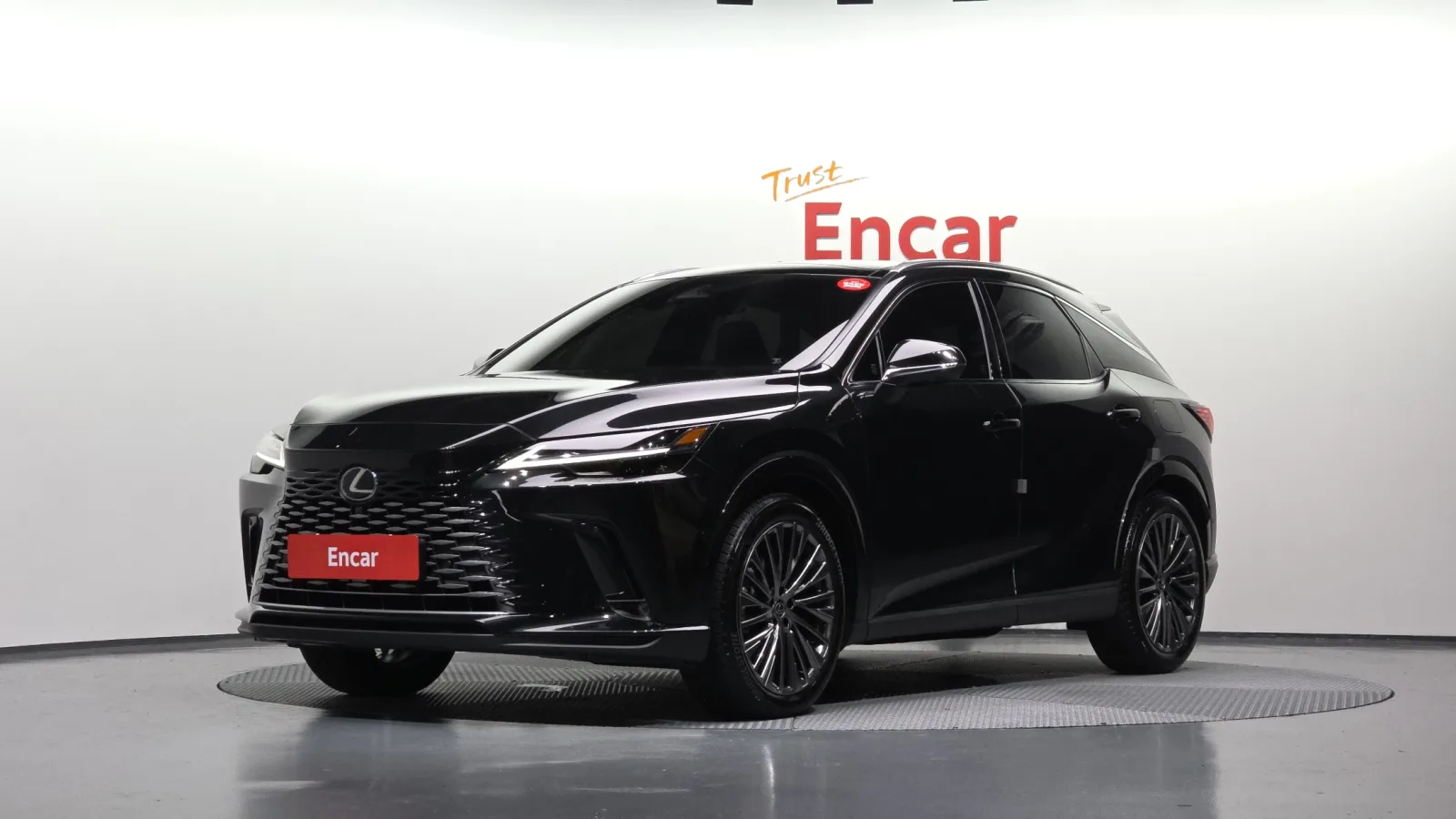 2025 Lexus RX