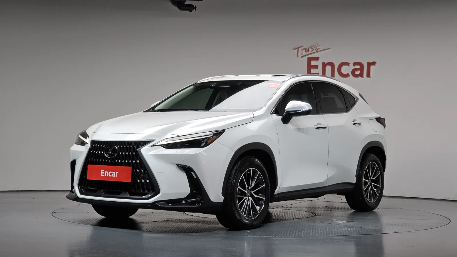 2022 Lexus NX