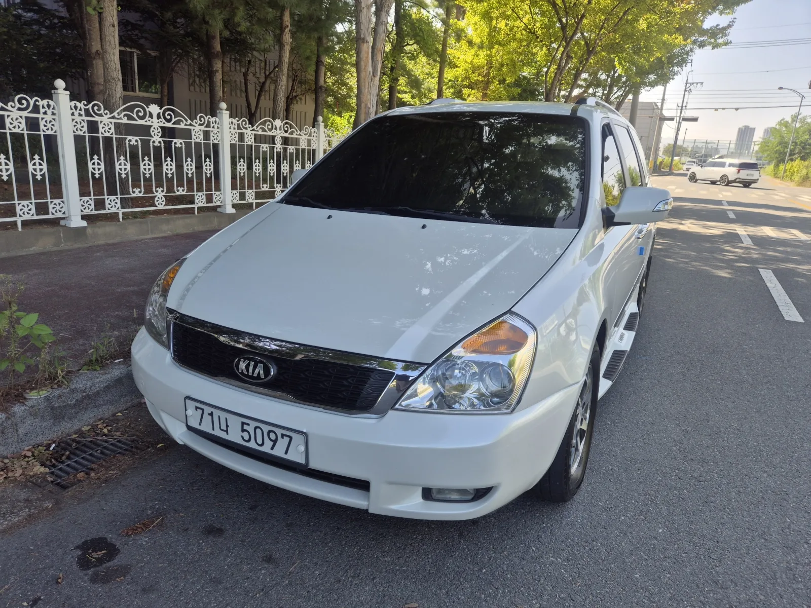 2013 Kia Carnival