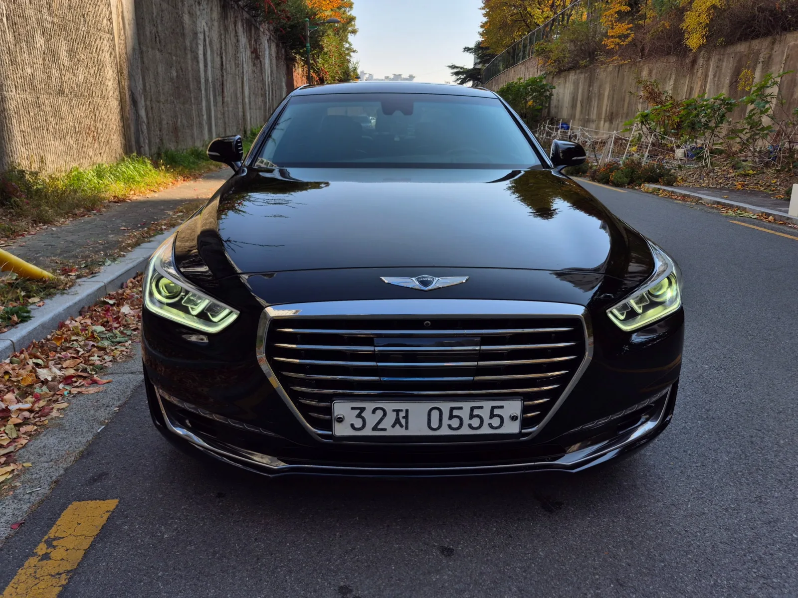 2016 Genesis EQ900