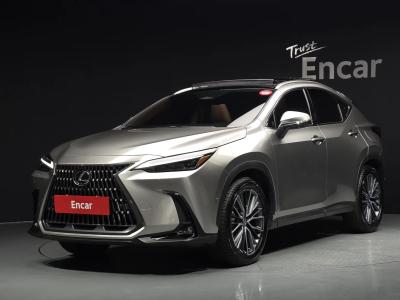 2025 Lexus NX