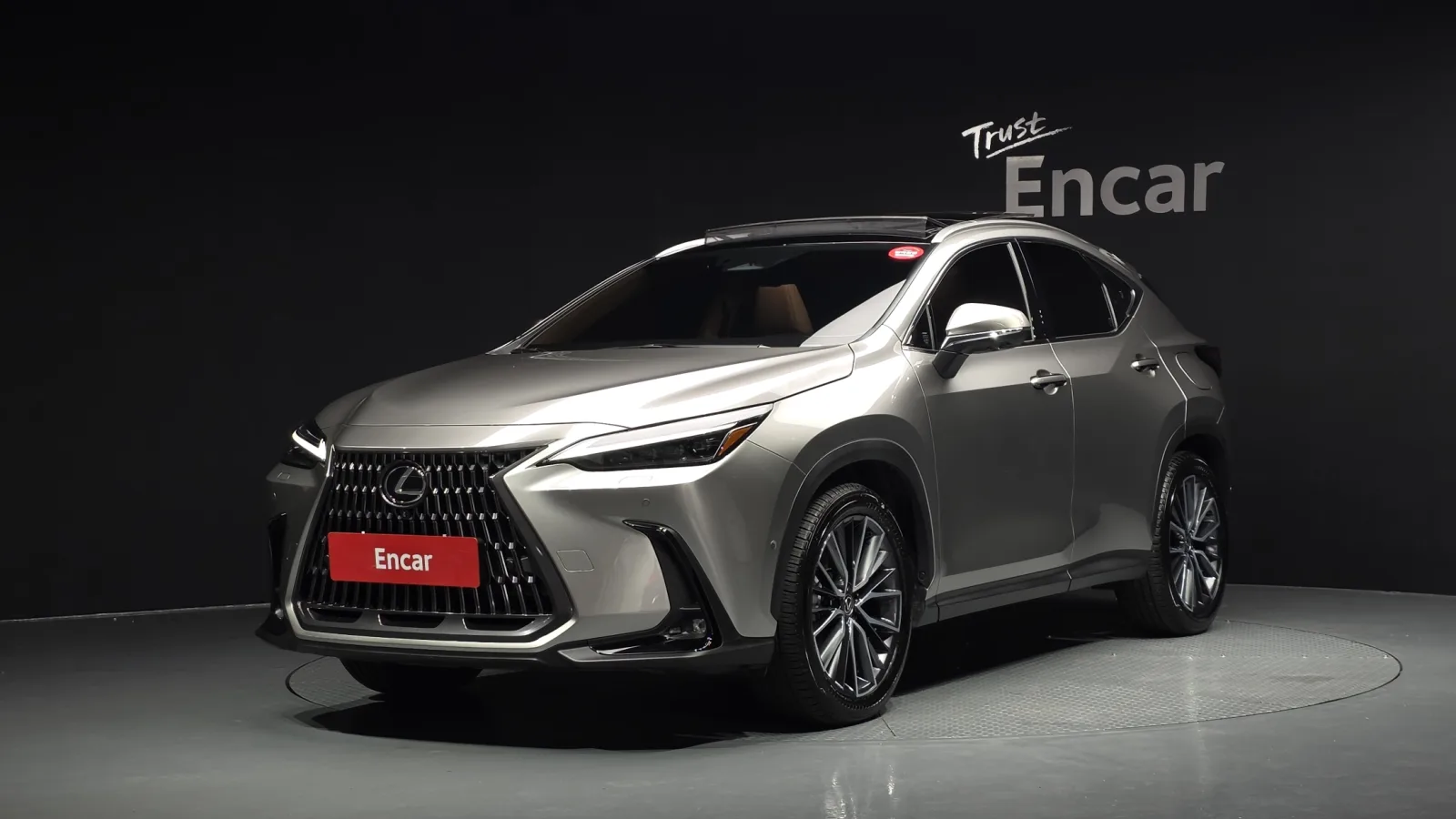 2025 Lexus NX