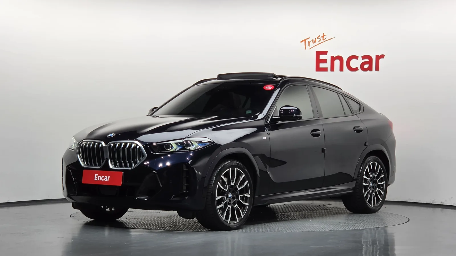 2024 BMW X6