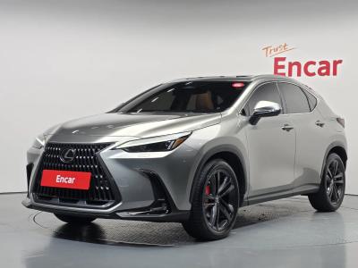 2025 Lexus NX