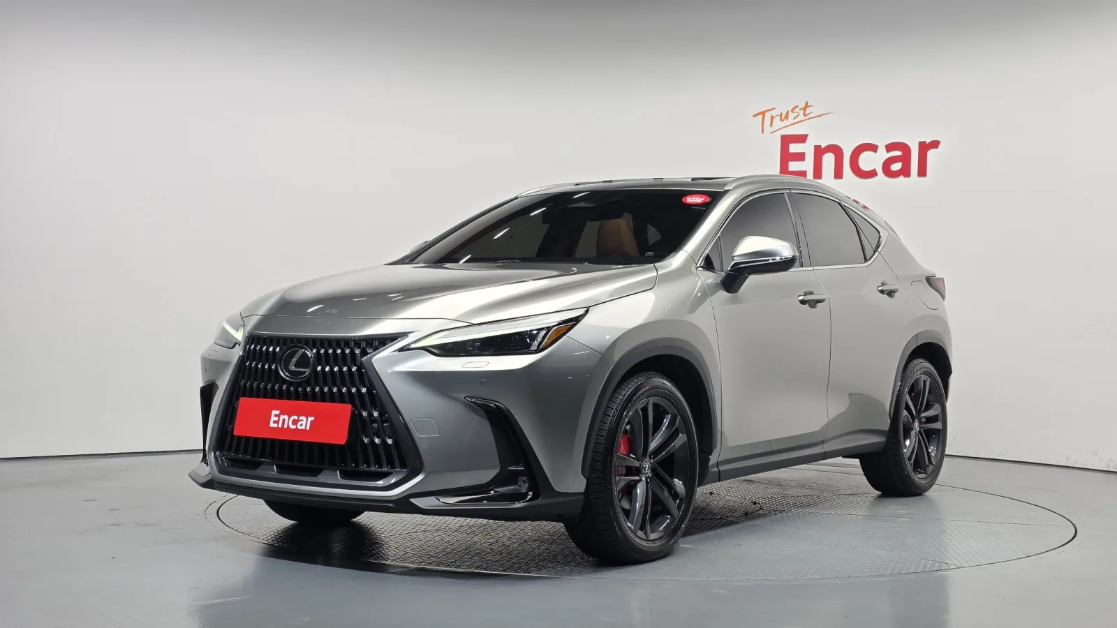 2025 Lexus NX