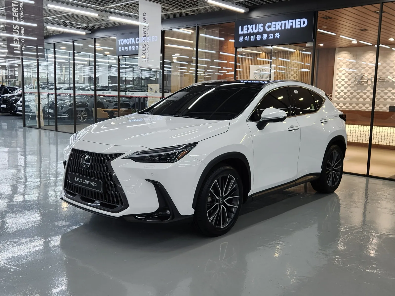2026 Lexus NX