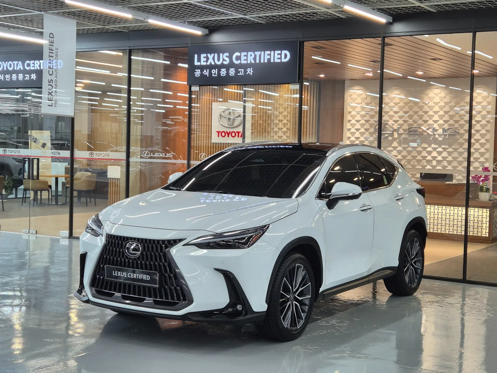 2026 Lexus NX