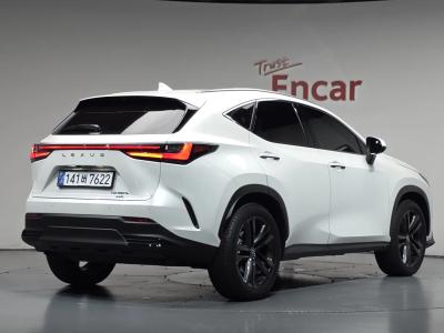 2025 Lexus NX