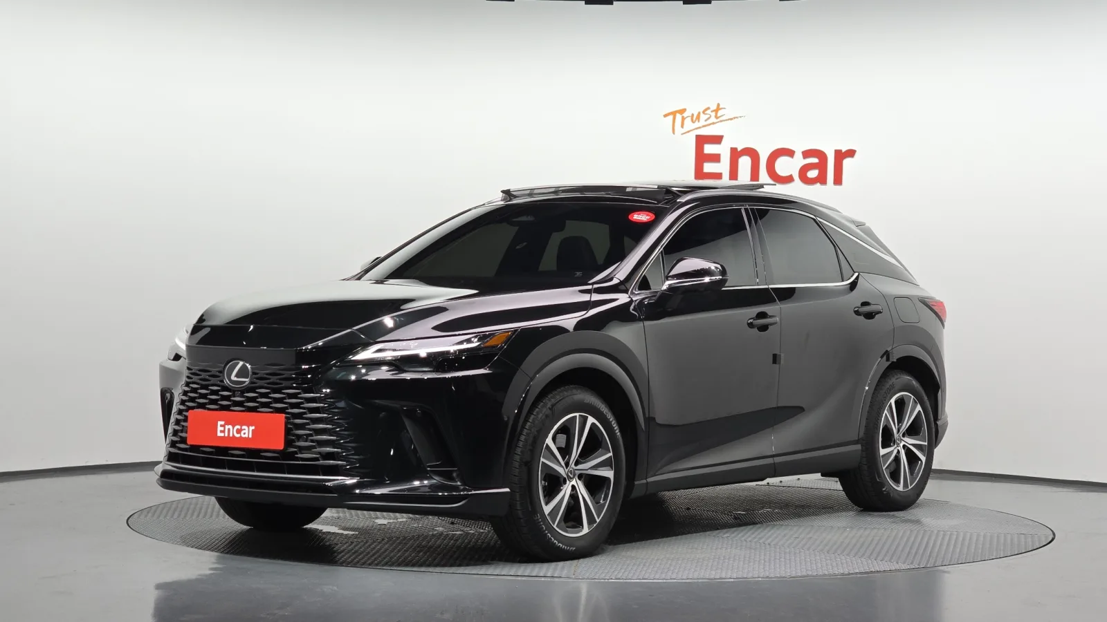 2025 Lexus RX