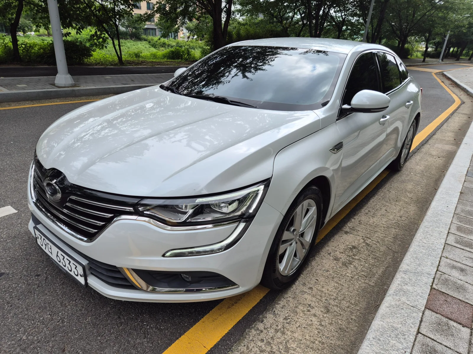2019 Renault Korea SM6