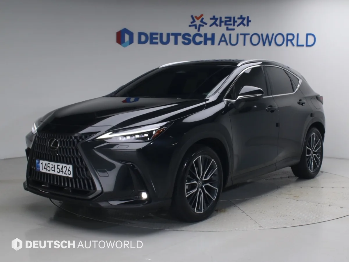 2025 Lexus NX