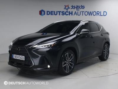 2025 Lexus NX