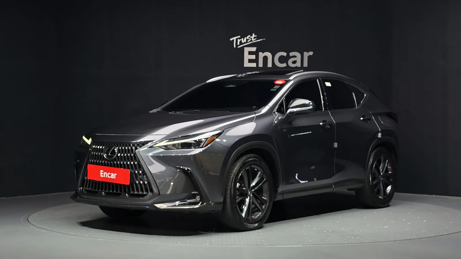 2023 Lexus NX