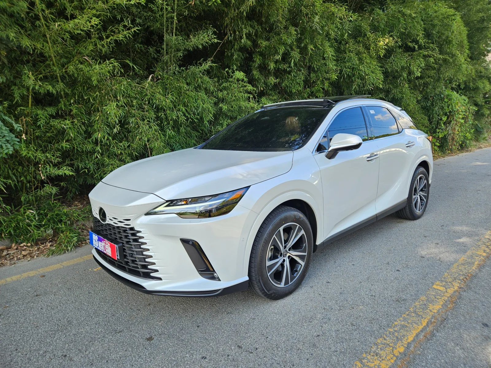 2026 Lexus RX