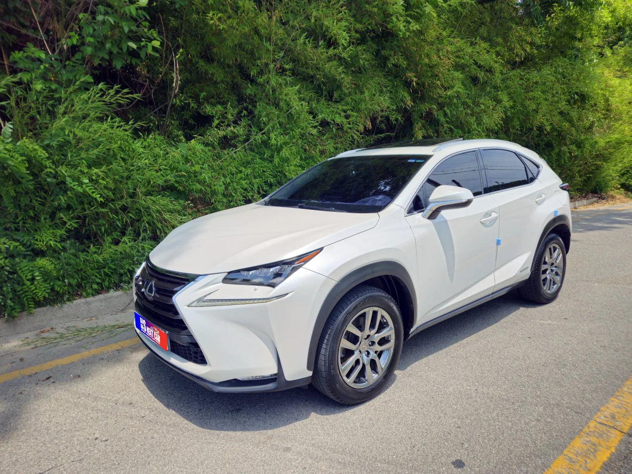 2017 Lexus NX