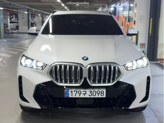2025 BMW X6