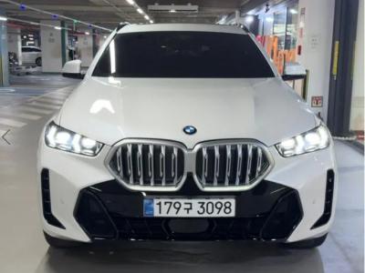 2025 BMW X6