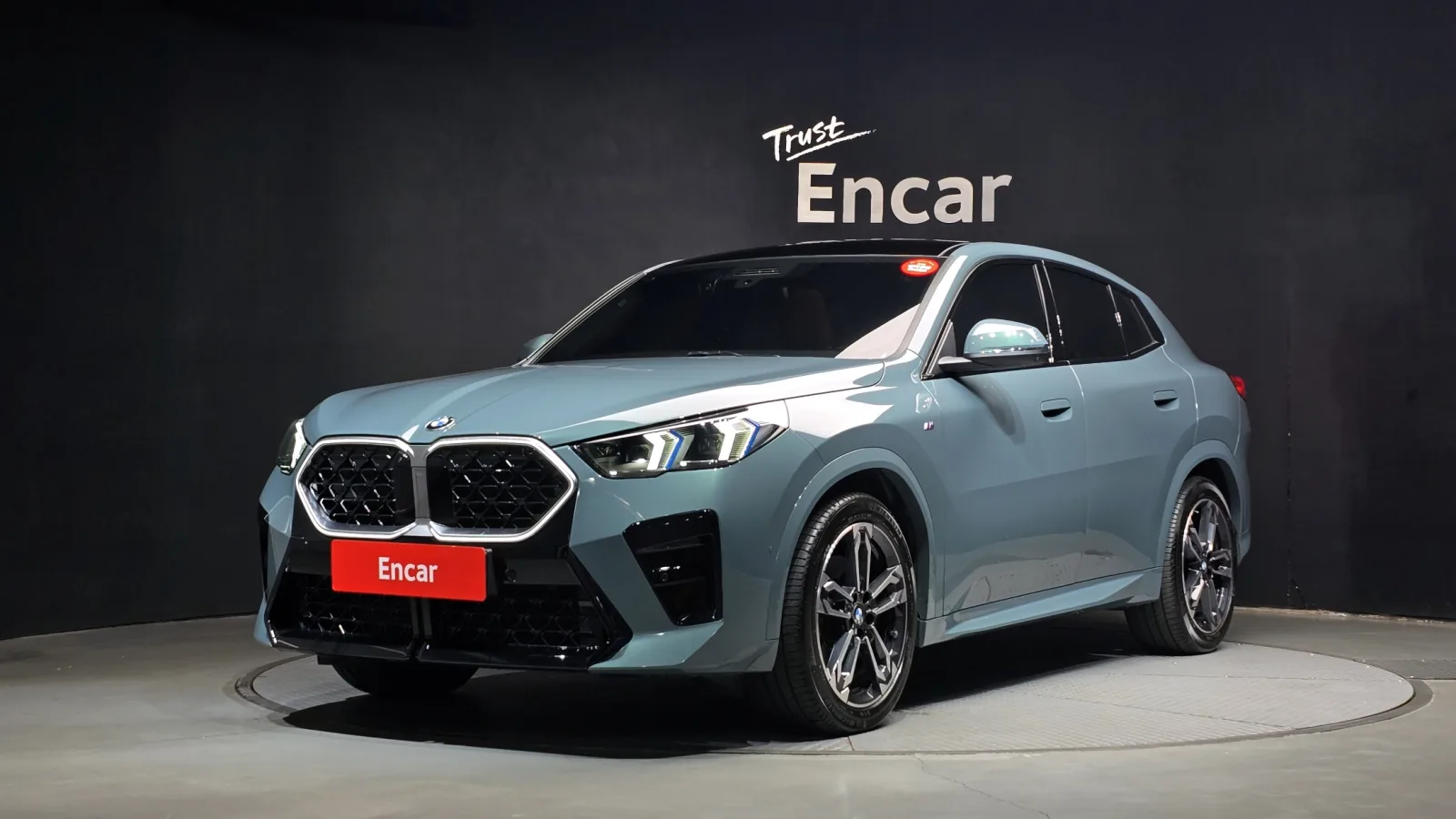 2025 BMW X2 (F39)