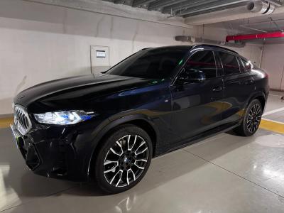 2025 BMW X6
