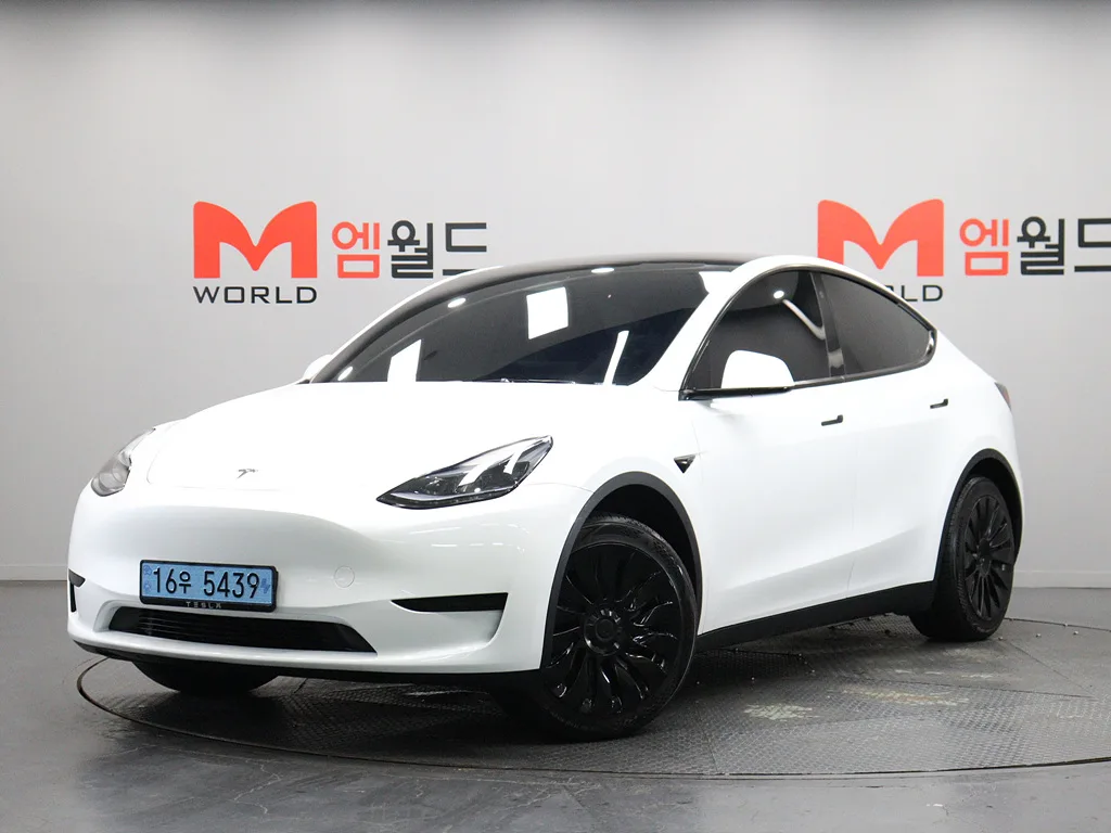 2024 Tesla Model Y