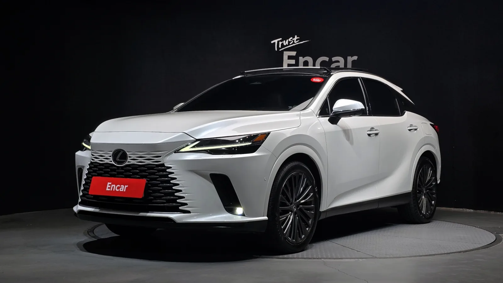 2025 Lexus RX