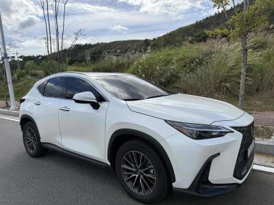 2025 Lexus NX