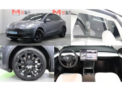 2024 Tesla Model Y