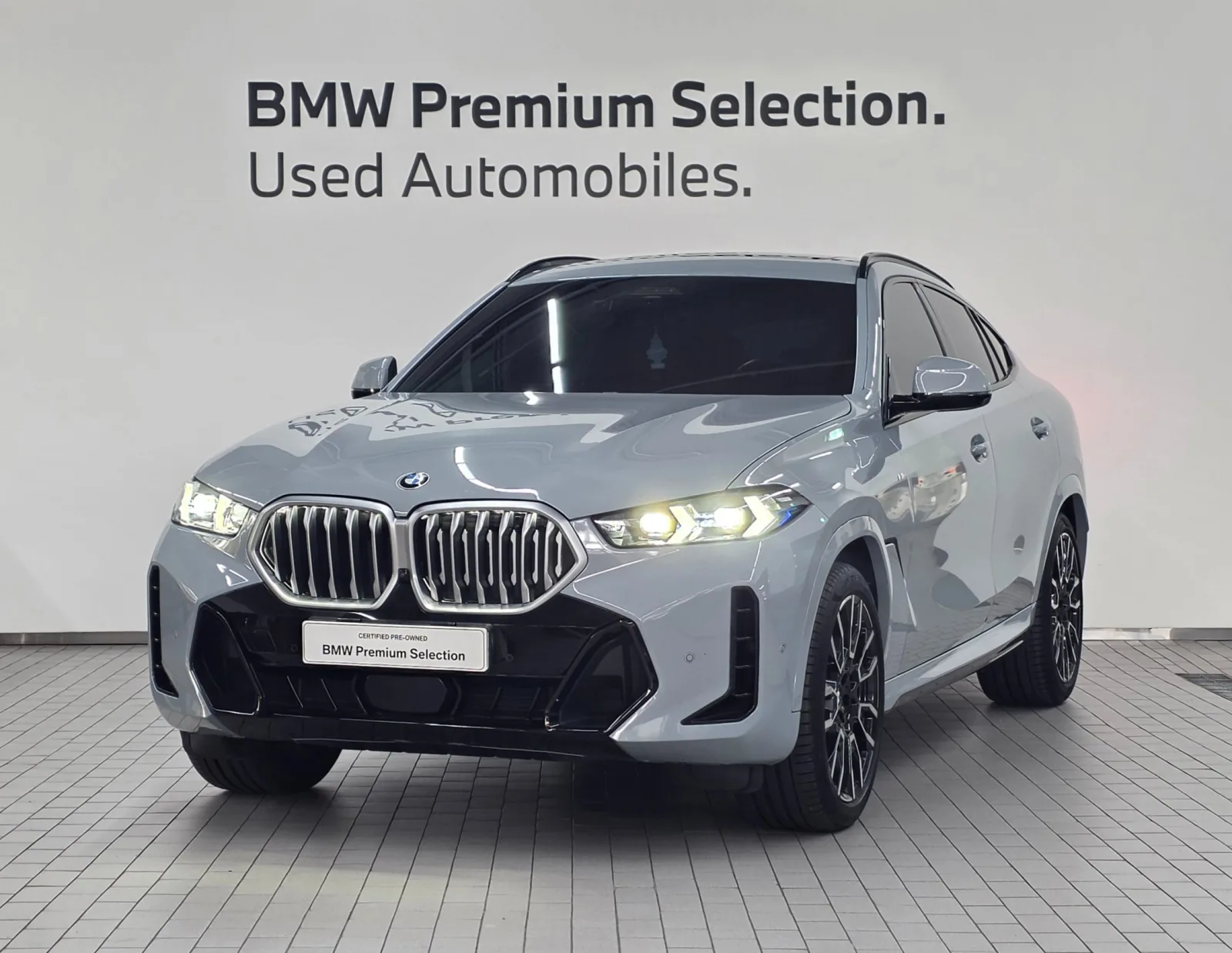 2025 BMW X6