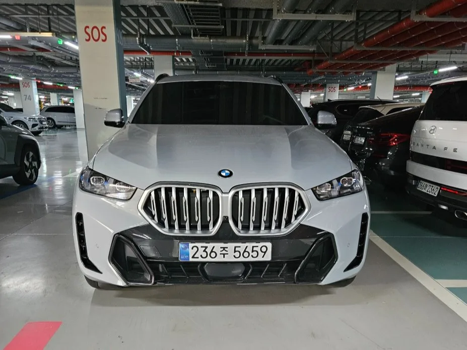 2026 BMW X6