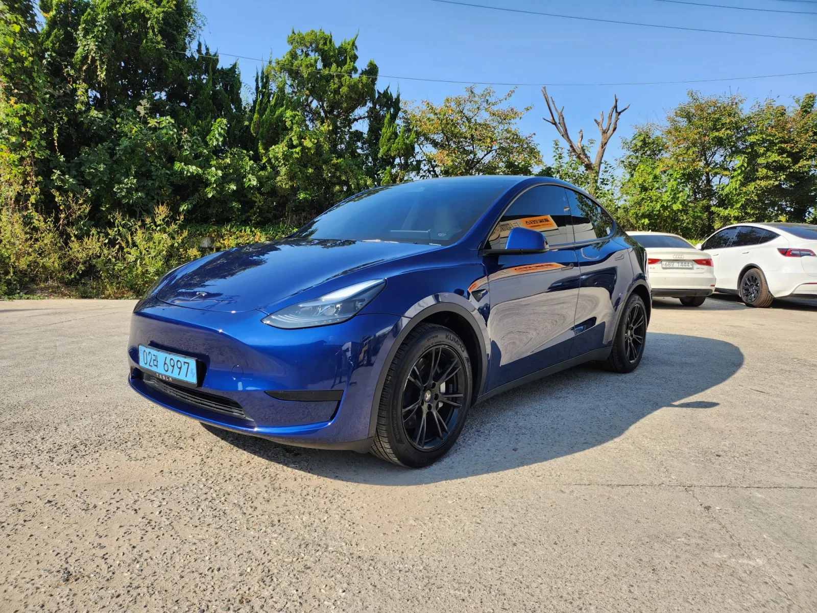 2024 Tesla Model Y