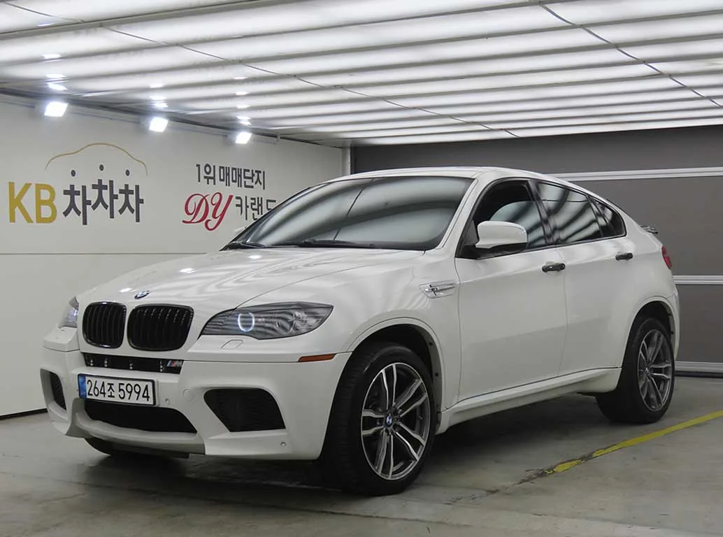 2010 BMW X6M