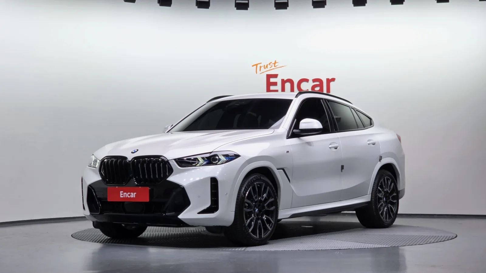 2025 BMW X6