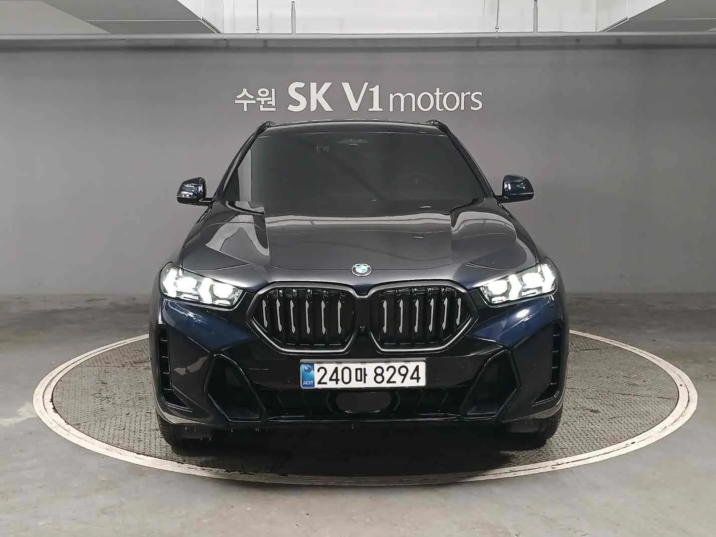 2025 BMW X6