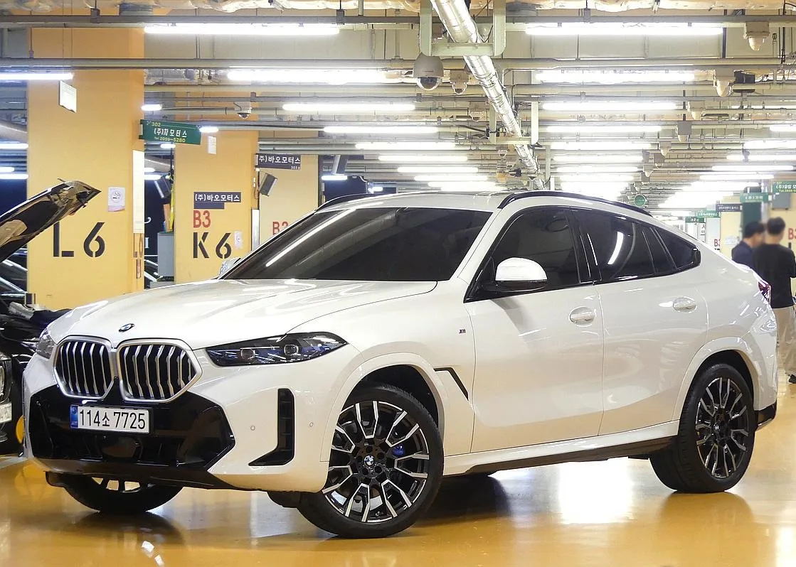 2026 BMW X6