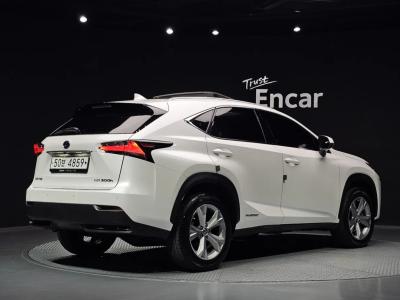 2017 Lexus NX