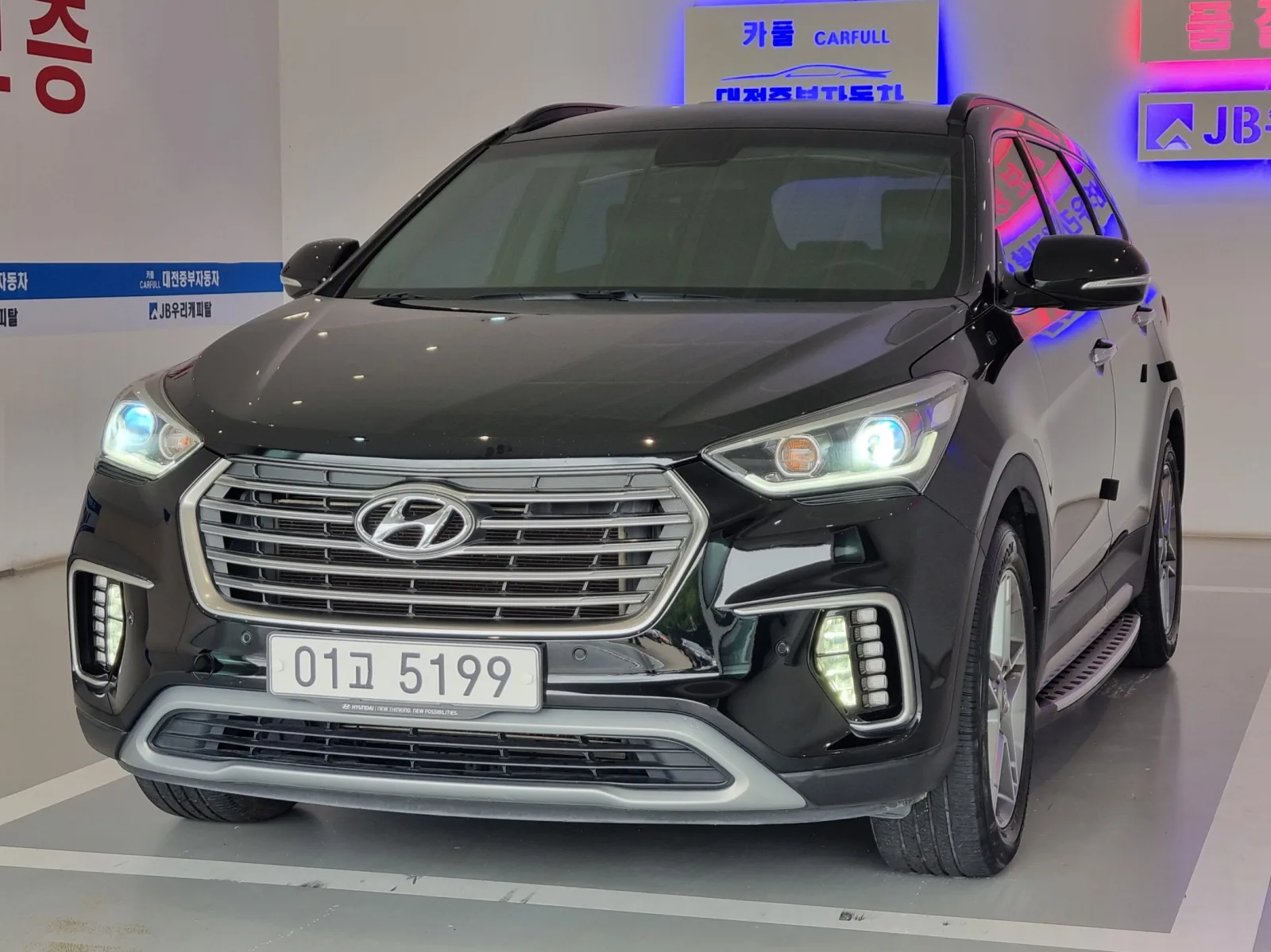 2017 Hyundai Maxcruz