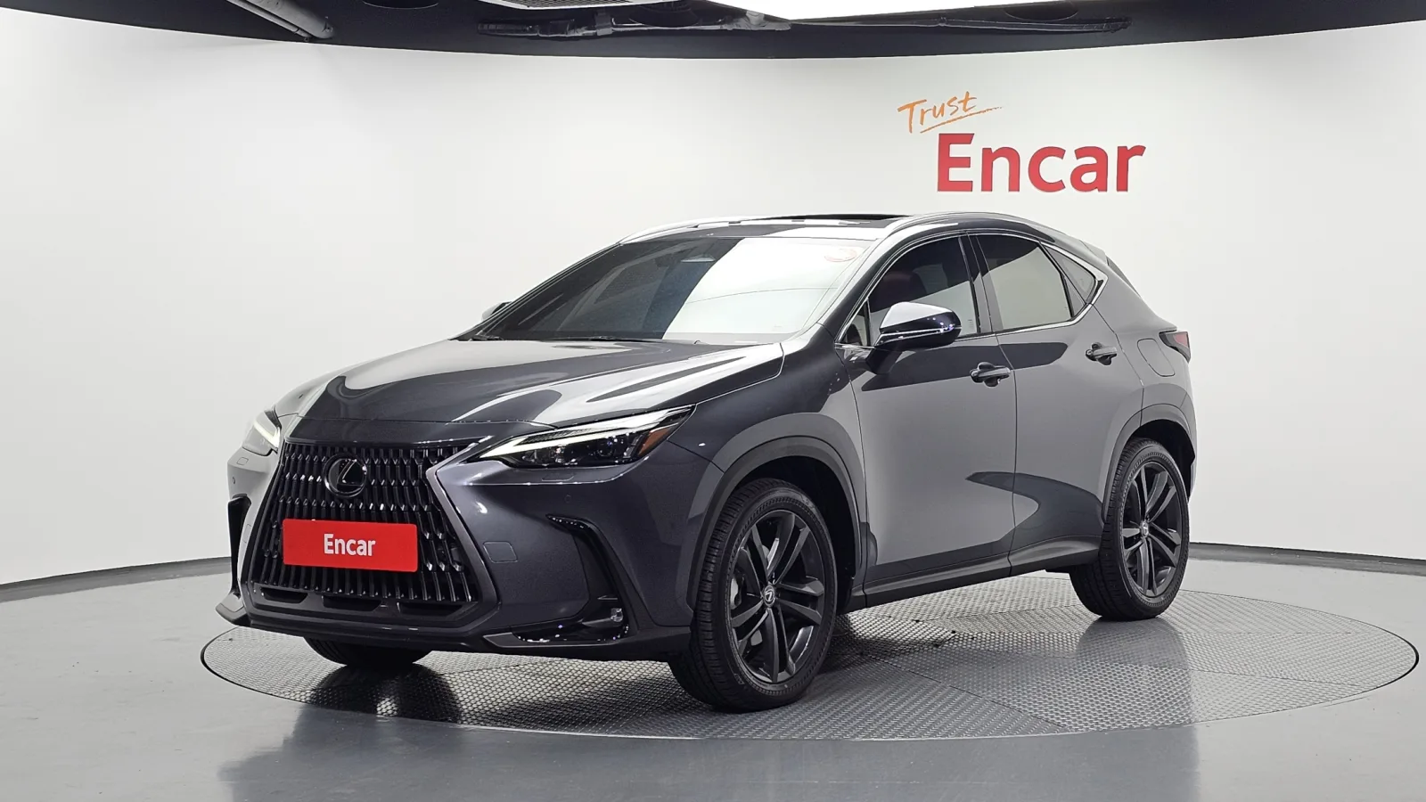 2025 Lexus NX