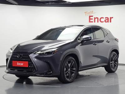 2025 Lexus NX